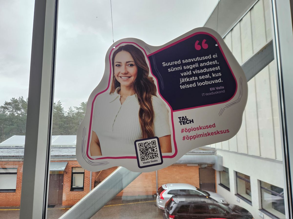Elli Valla_kampaania