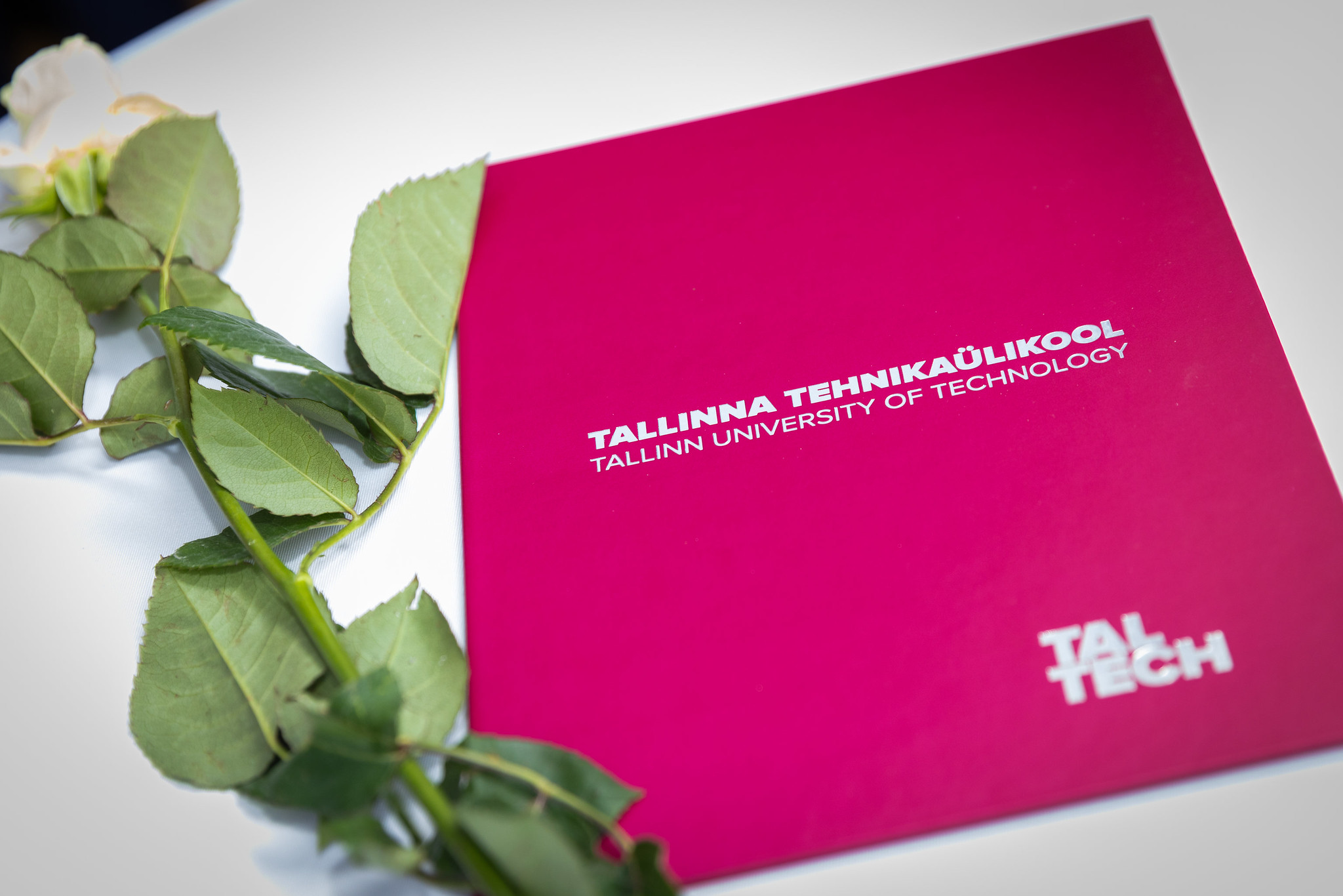 Tunnustamine 2025, foto: TalTech