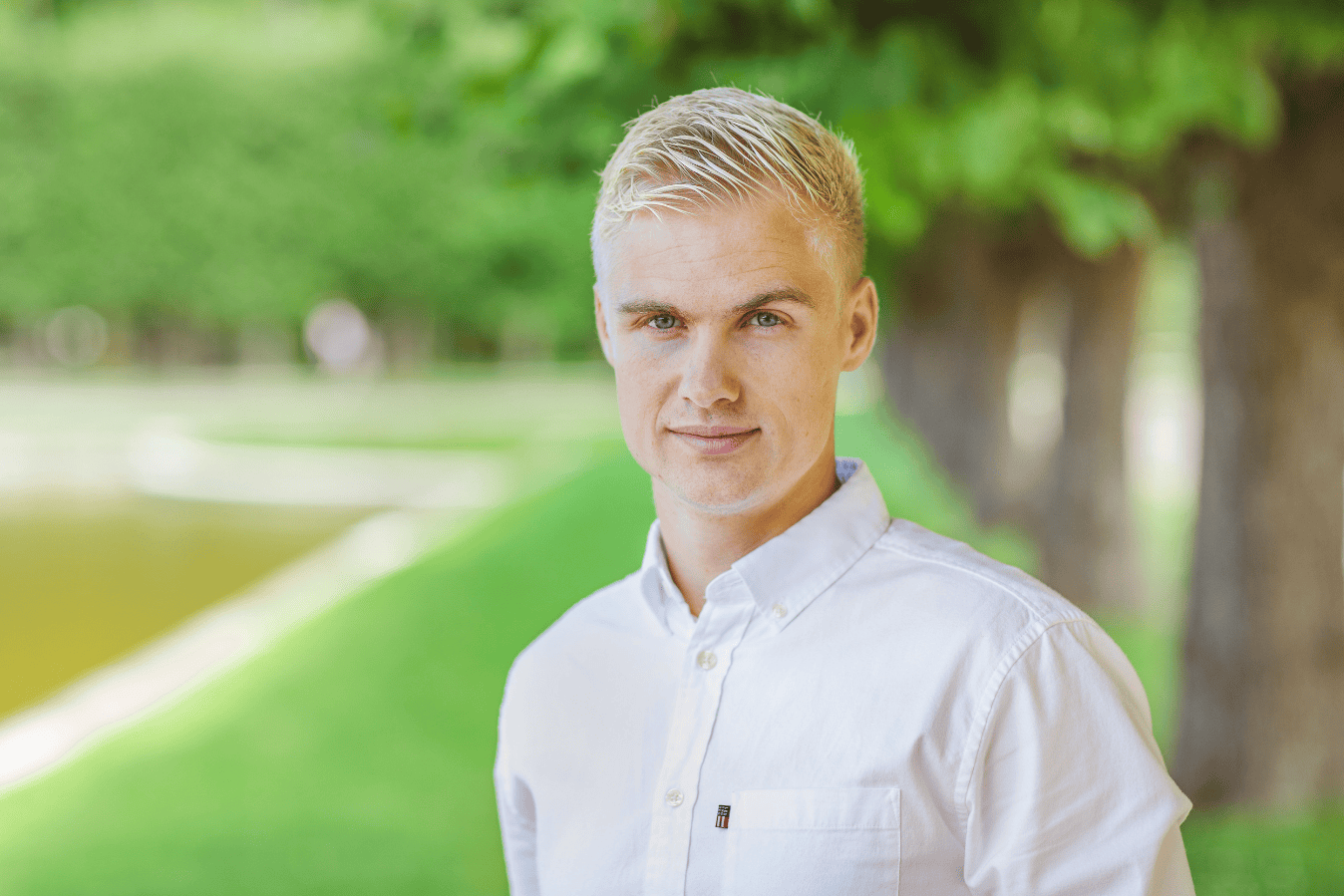 Alvian Hints / autor: erakogu