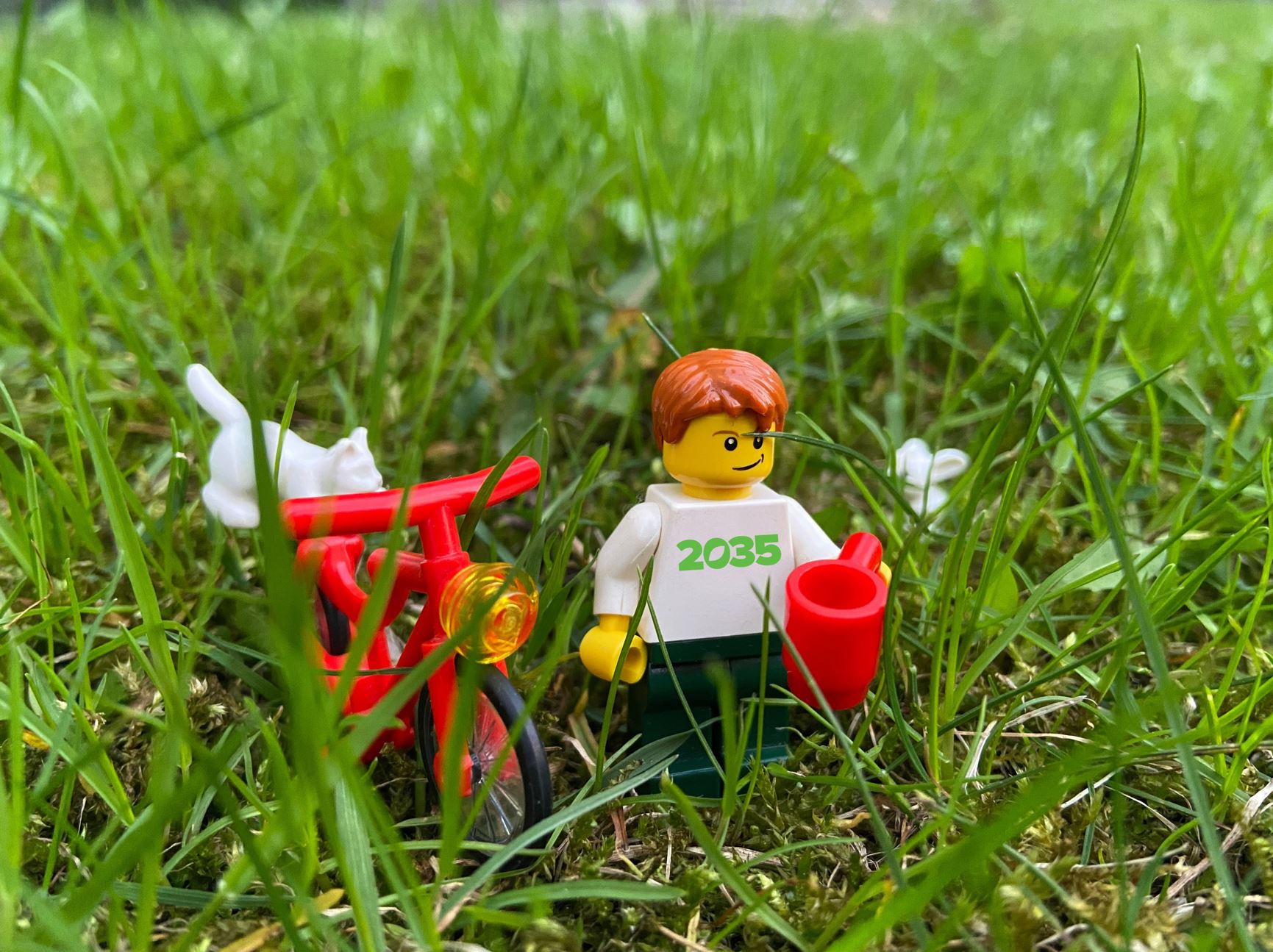 Legomehike murus, rinnal aasta 2035