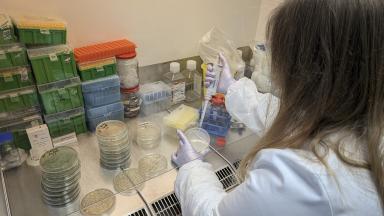 MicroBioLab labor