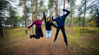 Autor: Henri Kristian Kirsip