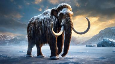 Mammut