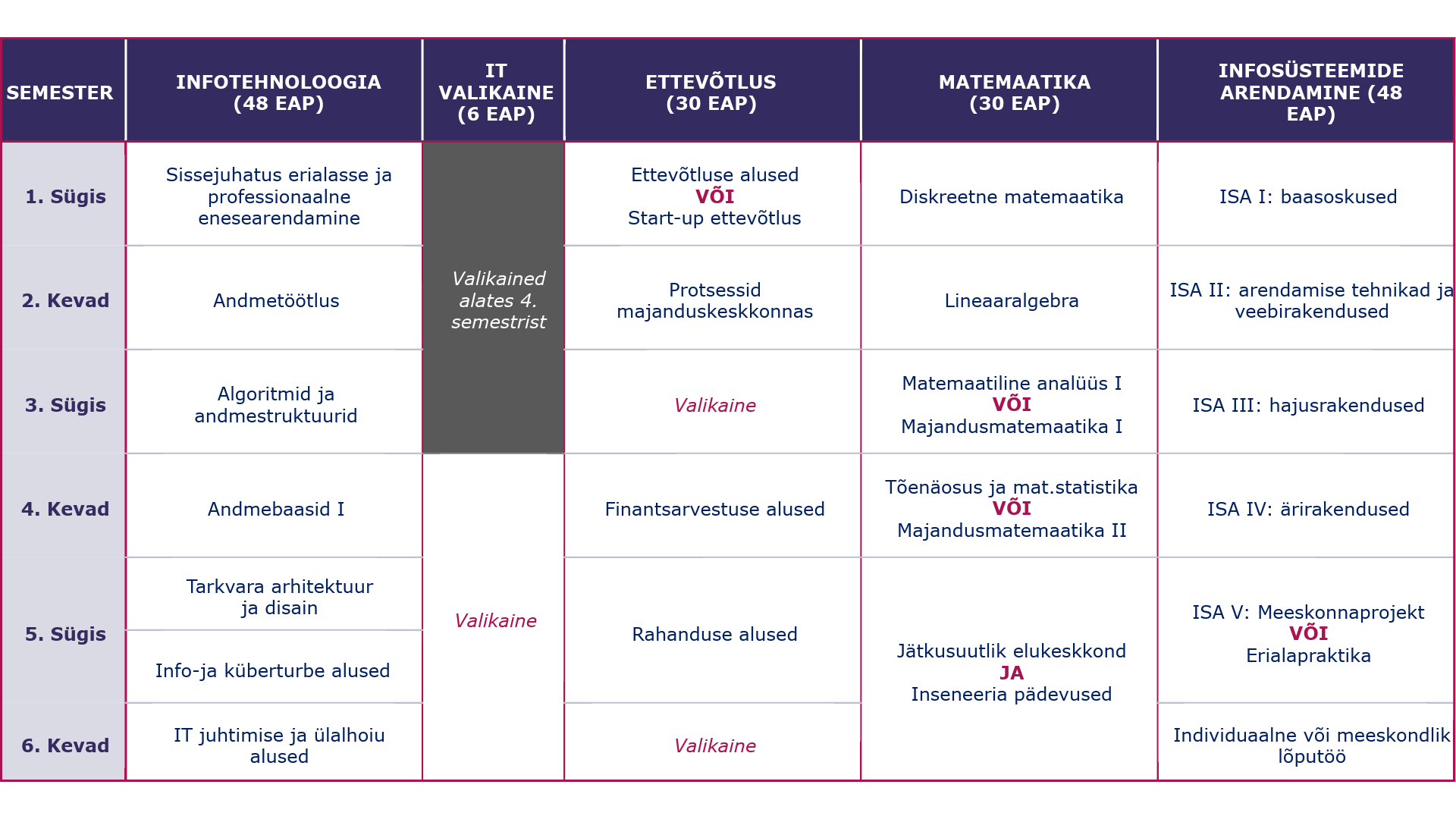 Tabel kujutab TalTech äriinfotehnoloogia bakalaureusõppe õppekava 1.–6. semestri aineid viies valdkonnas: Infotehnoloogia (48 EAP), IT valikaine (6 EAP), Ettevõtlus (30 EAP), Matemaatika (30 EAP) ja Infosüsteemide arendamine (48 EAP). Esimesel sügisel algavad ained nagu Sissejuhatus erialasse, Ettevõtluse alused, Diskreetne matemaatika ja ISA I. Valikained IT valdkonnas algavad 4. semestrist. Õppekava lõpeb 6. kevadel individuaalse või meeskondliku lõputööga.