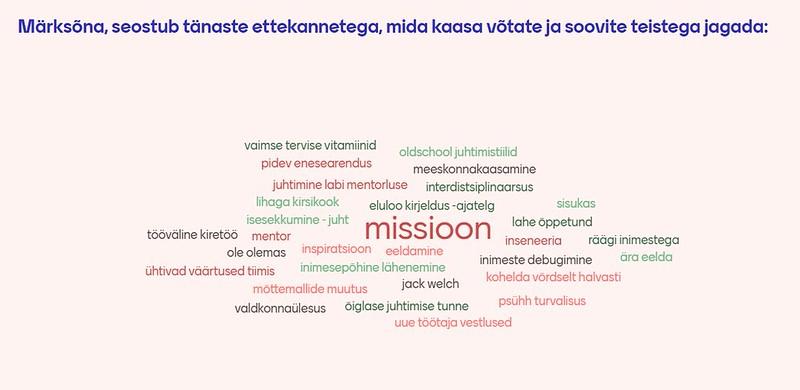 Arengurakett_sõnapilv