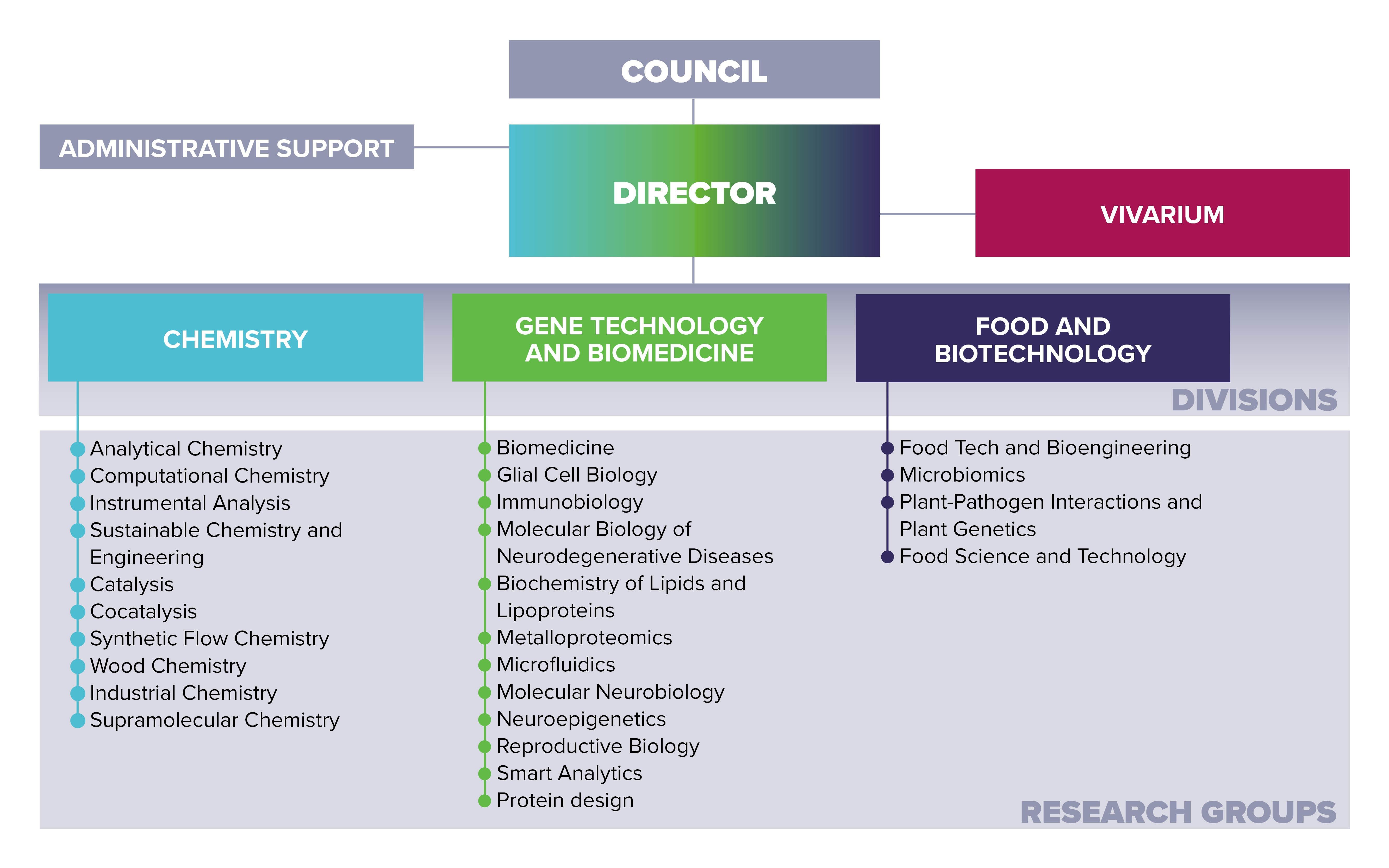 Structure of the Institute
