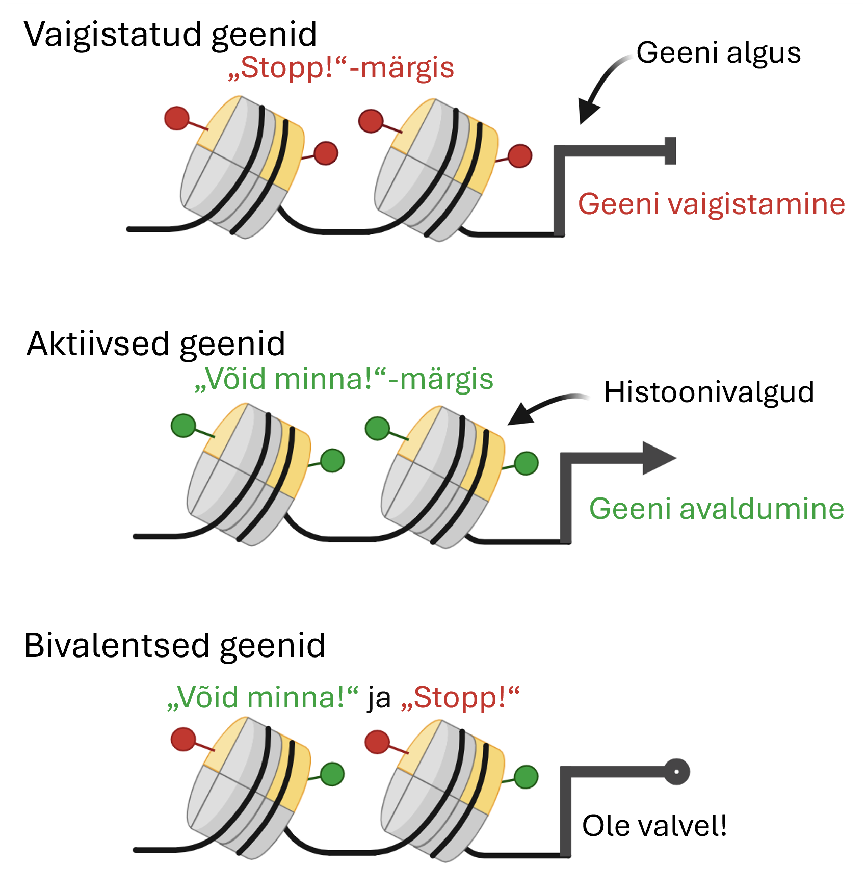 Geenide avaldumise signaalid joonis