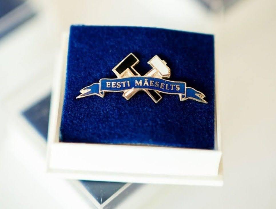 mäeselts pin
