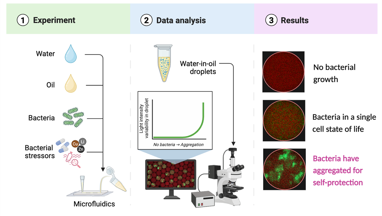 Overview of the analytical method microfluidics