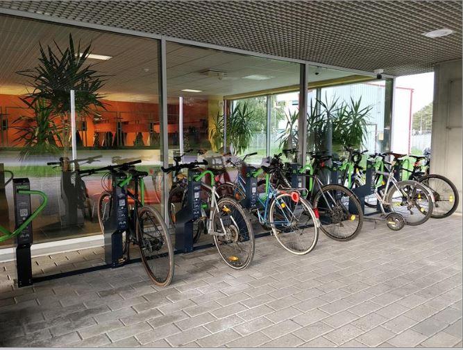 Rattad parklas