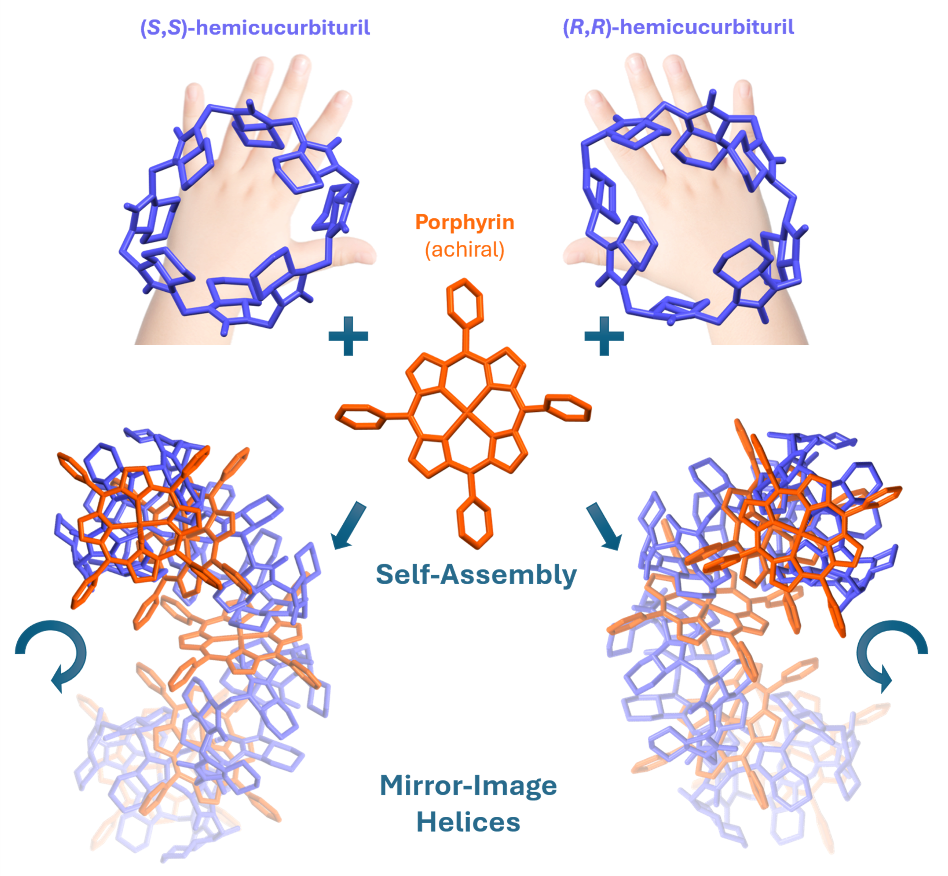 Binding of porphyrin to a chiral hemicucurbituril leads to the formation of mirror-image chiral structures.