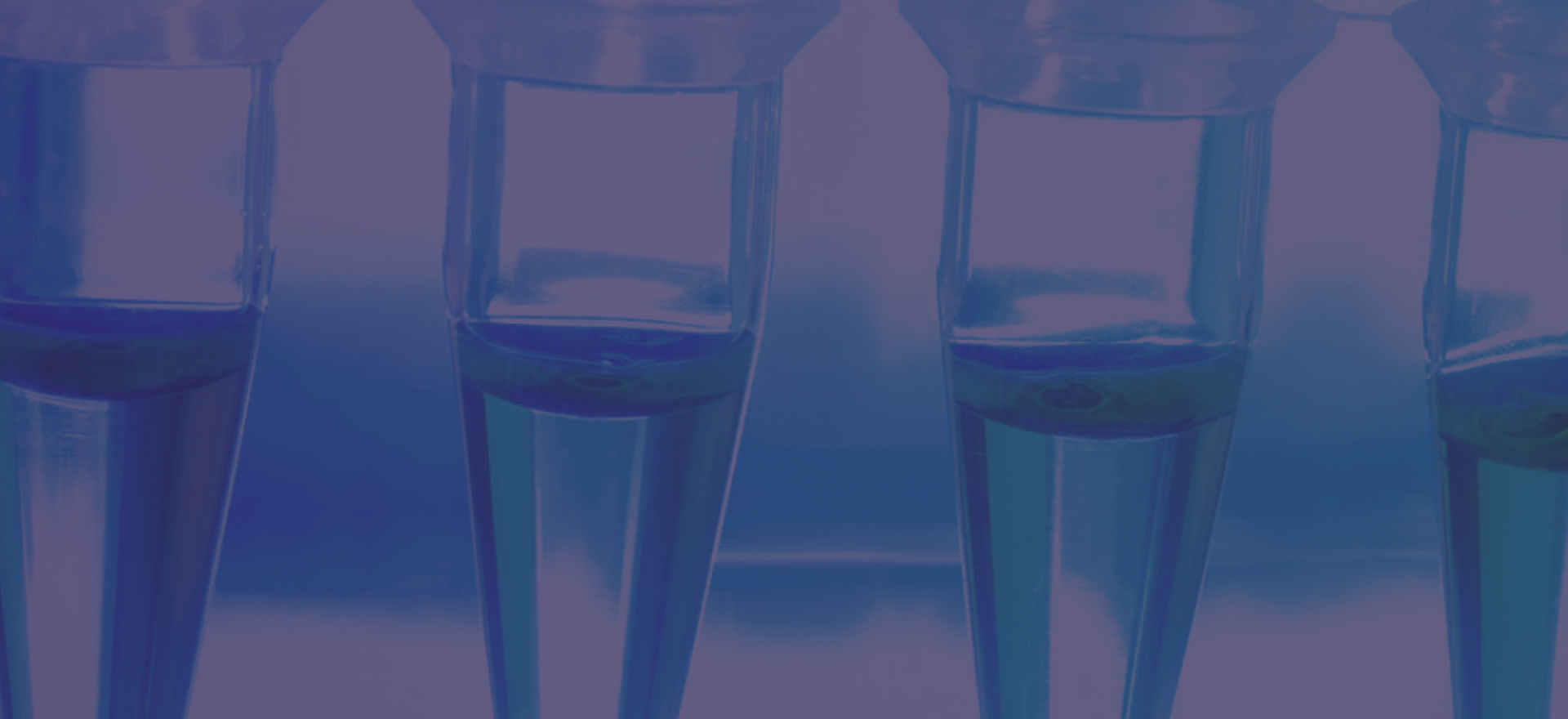 KBI sümpoosium 2025 kaanepilt